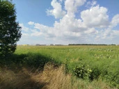 Продаются Земли сельскохозяйственного назначения в Краснодаре с высоким потенциалом.